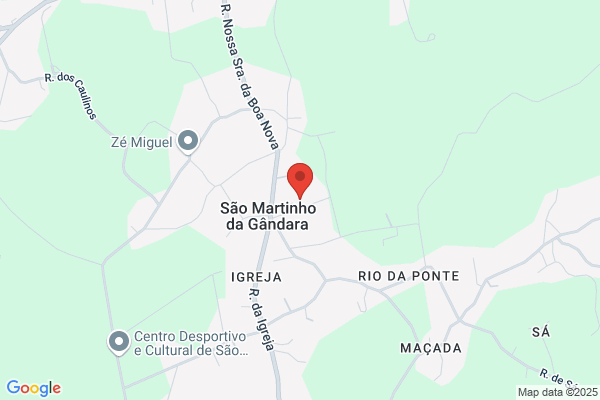 Henrique Martins