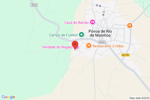 Carlos Gonialves Rocha Ribeiro