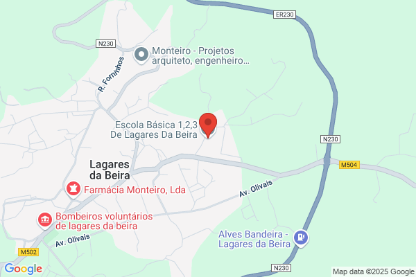 Conceiï Ferreira