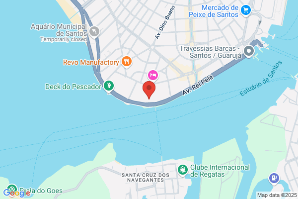 Caroliny Santos Academy