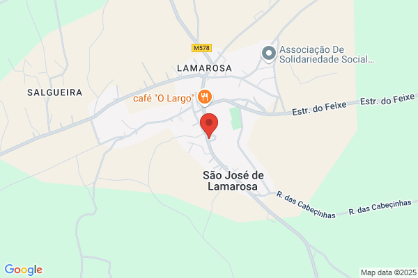 Antanio Henriques Rodrigues