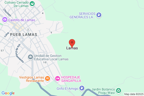 Campo Elétrico