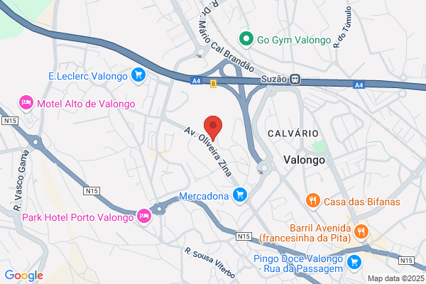 Agencia De Viagens Vallis Longus. Lda