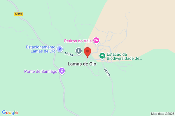 Fòica De Mis Lestro