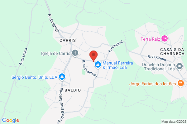 Teresa S Freitas Ribeiro