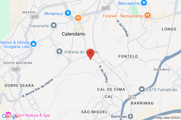Carlos Antanio Lopes Teixeira Julio