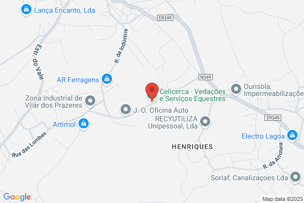 Celius-Consultoria E Serviios. Lda