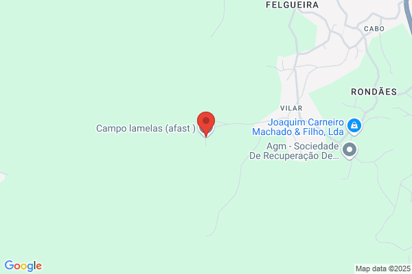 Conceiiao De Campos Ferreira