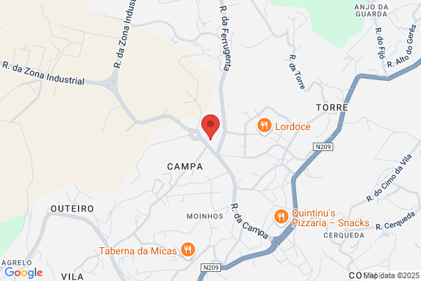 Agostinho Martins Vilela