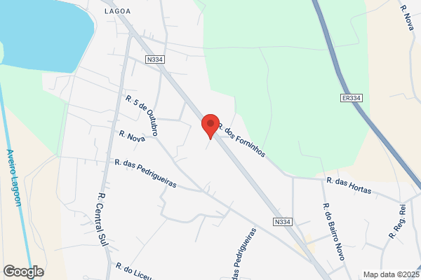 Maria A F Leite Sousa