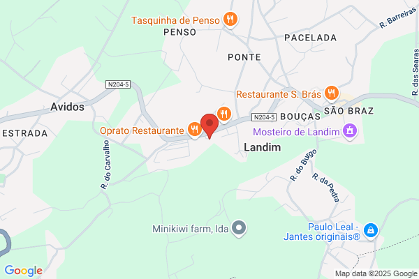 Auto Mec nica Landinense