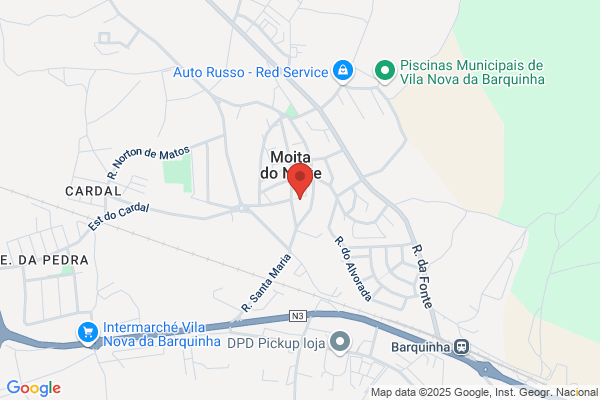Sandra M M Amorim Rodrigues