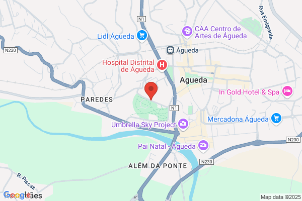 Litoagueda-Litografia De Agueda. Lda