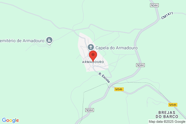 Maria Armanda J Martins