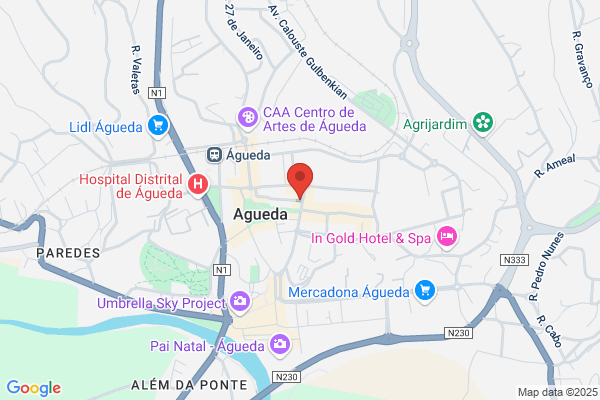 Telagueda-Telecomunicaiåes E Electranica De Agueda. Lda