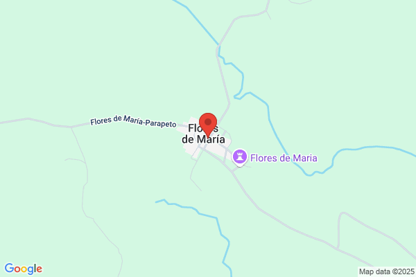 Maria G S Flores Gonlves