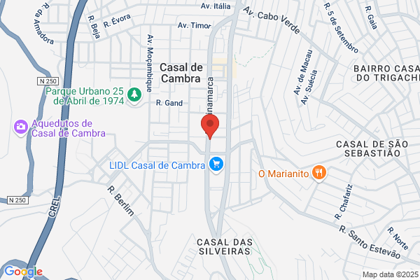 Carlconta-Contabilidade E Assistencia. Lda