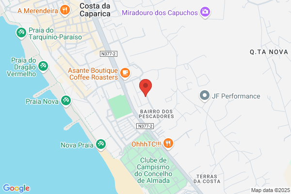 Copimonte - Consultoria e Serviços em Gestão e Informática, Lda.