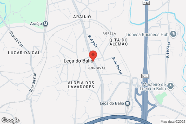 Carlos Gonialves Rocha Ribeiro