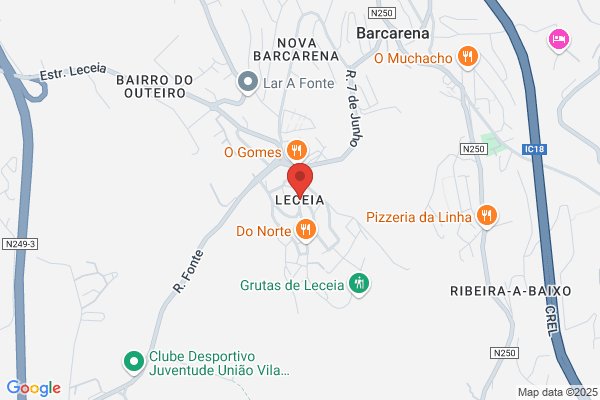 Luisa Pires Transportes Personalizados