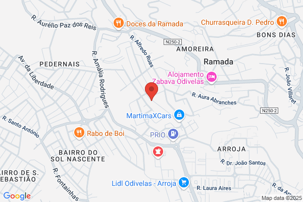 Joao Barbosa Ramos E Outros