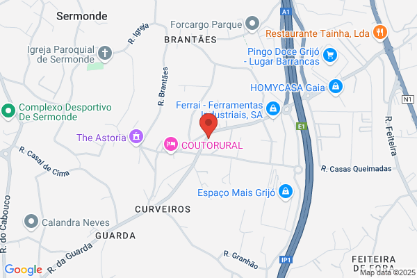 Belmiro P Rocha