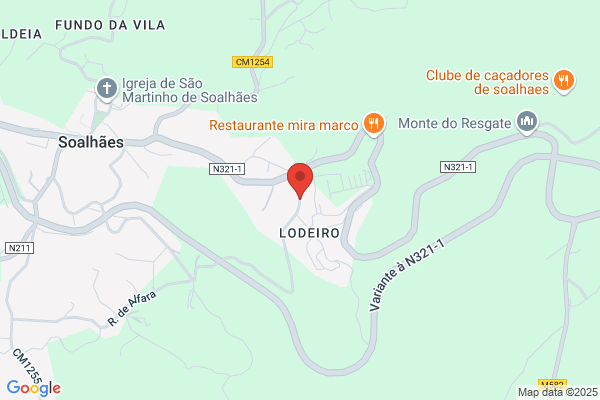Maria D Monterio Ribeiro