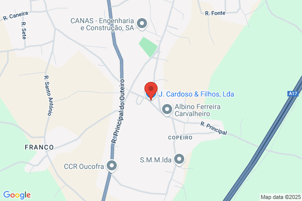 José J C Antas Cardoso