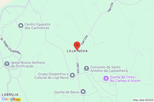 Zilda Pinto Martins Lourenü