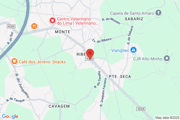 Restaurante Brazeirão Do Minho