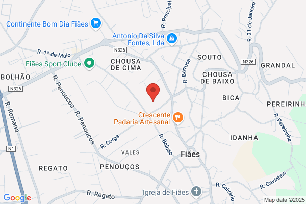 Joàp P Ribeiro Mota
