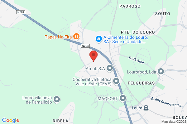 Lues Peixoto Martins Ribeiro