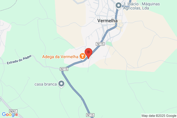 Miguel Pimenta Ribeiro