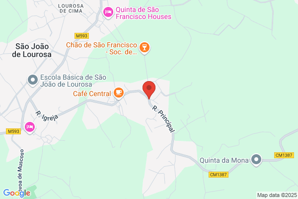 Afonso Deusdado Loureiro