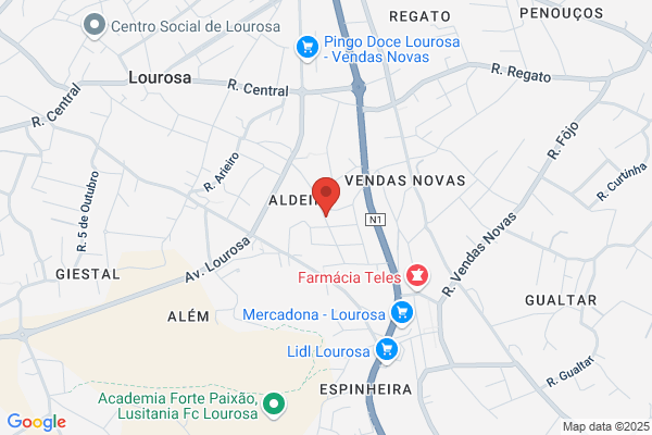 Lucia A Marques Ferreira