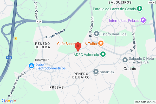 Ana C M Almeida Pinto
