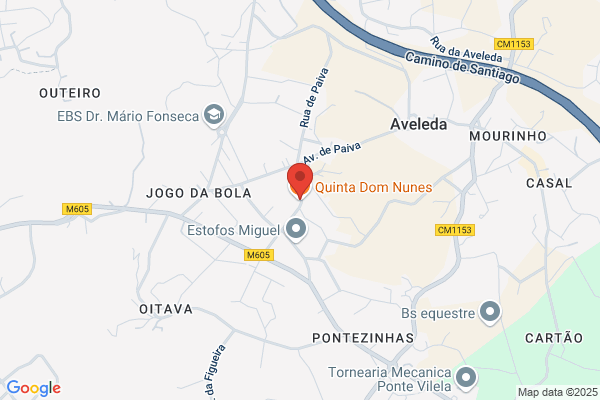 Jose Maria Nunes De Azevedo-Eng‹ Civil