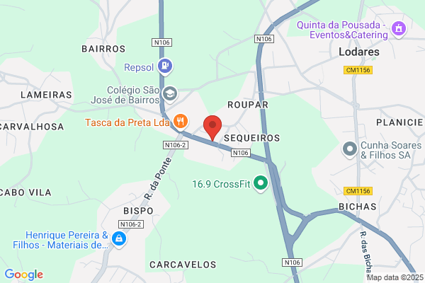 Ana P Teixeira Constantino