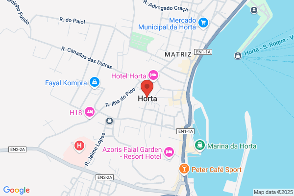 Organizações Heltina Lda