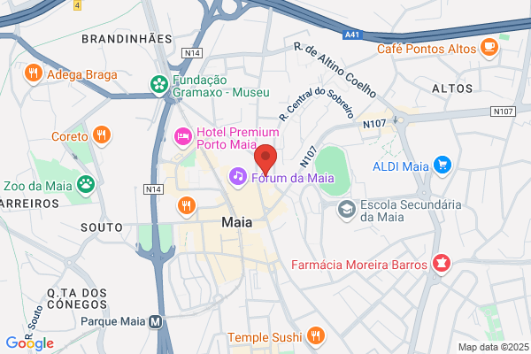 Paulo R F Moreira Lopes