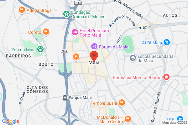 Alice Conceiï Godinho
