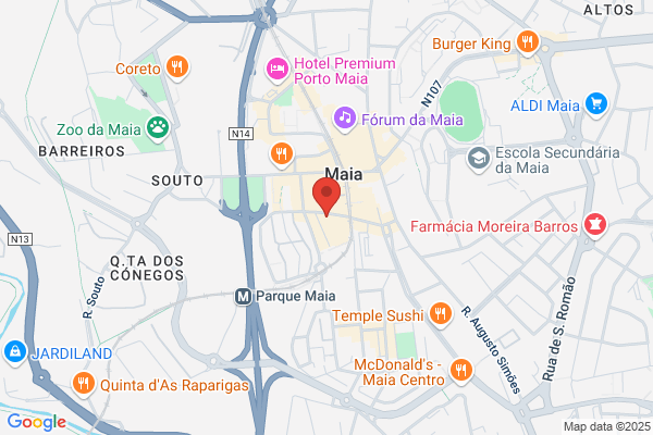 Filomena M Borges Barreira