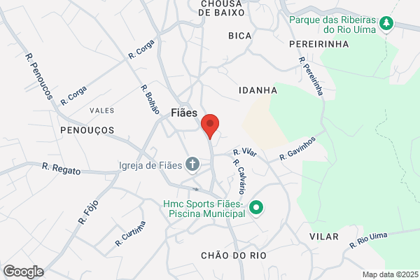 Maria Fernanda S Alves