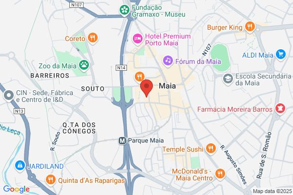 Adelaide S Santos Martins