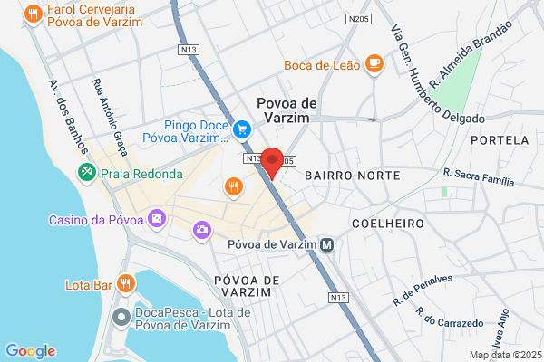Raquel Z L Pinto Gomes