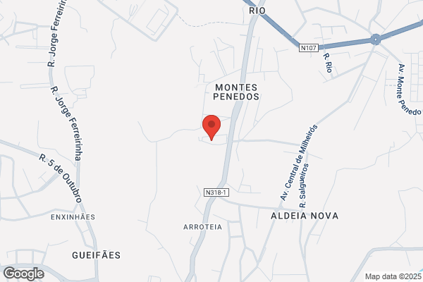 Augusto C ndido Ramos Nogueira