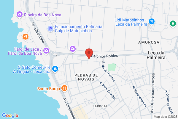 Paula A Felgueiras Viana