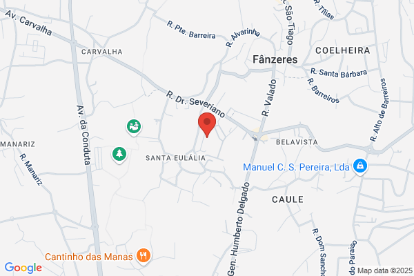 Carlos A Martins Ferreira