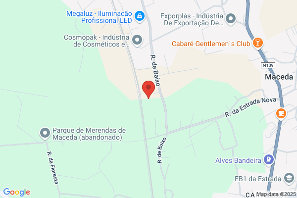 Pinto Dos Reis Violas & Filhos. Lda