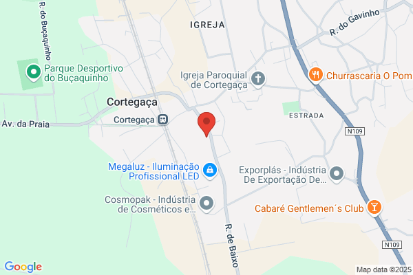 RM Eventos - Insufláveis